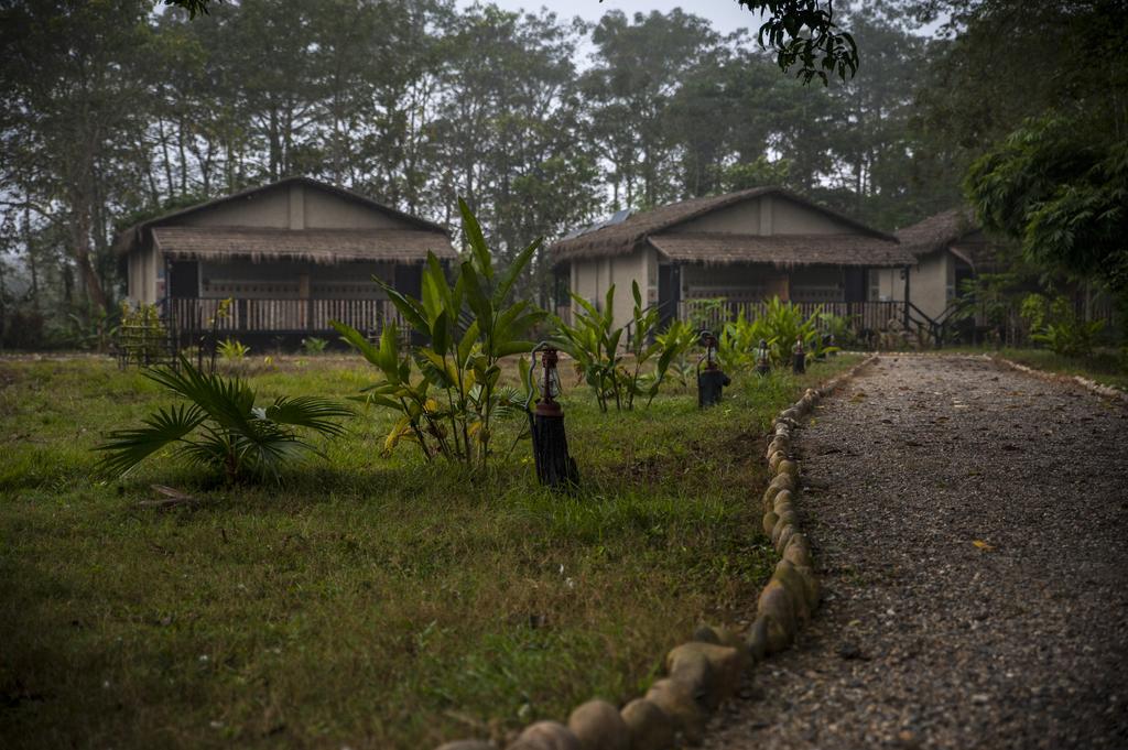 Siddhartha Wildlife Retreat Hotel Meghauli Eksteriør billede